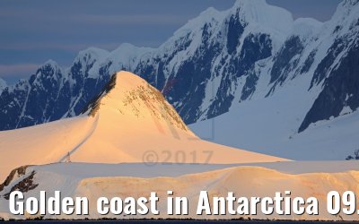 Golden coast in Antarctica 09.01.2017 Golden coast in Antarctica 09.01.2017
