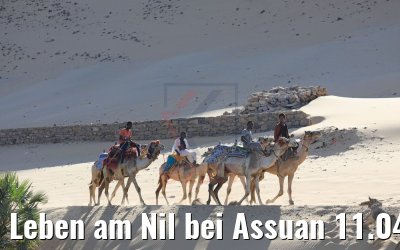 Leben am Nil bei Assuan 11.04.2019 Leben am Nil bei Assuan 11.04.2019