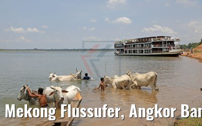 Mekong Flussufer, Angkor Ban mit Lan Diep und Rindern, Kambodscha 15.04.2017 Mekong Flussufer, Angkor Ban mit Lan Diep und Rindern, Kambodscha 15.04.2017