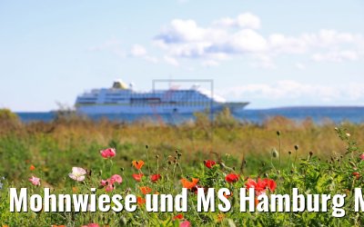 Mohnwiese und MS Hamburg Mackinac Island 07.10.2019 Mohnwiese und MS Hamburg Mackinac Island 07.10.2019