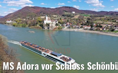 MS Adora vor Schloss Schönbühel an der Donau 06.04.2019 MS Adora vor Schloss Schönbühel an der Donau 06.04.2019