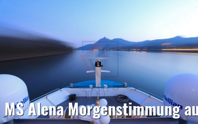 MS Alena Morgenstimmung auf dem Rhein 25.03.2018 MS Alena Morgenstimmung auf dem Rhein 25.03.2018