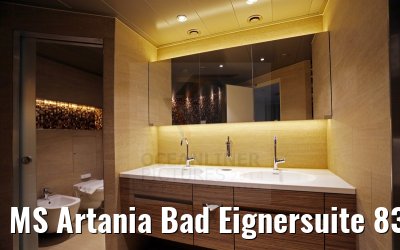 MS Artania Bad Eignersuite 8339 am 09.12.2014 MS Artania Bad Eignersuite 8339 am 09.12.2014