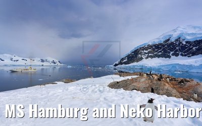 MS Hamburg and Neko Harbor bay, Graham Land, Antarctica 08.01.2017 MS Hamburg and Neko Harbor bay, Graham Land, Antarctica 08.01.2017