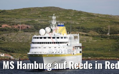 MS Hamburg auf Reede in Red Bay, Labrador MS Hamburg auf Reede in Red Bay, Labrador