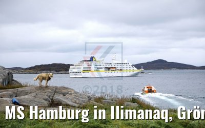 MS Hamburg in Ilimanaq, Grönland MS Hamburg in Ilimanaq, Grönland