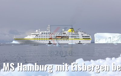 MS Hamburg mit Eisbergen bei Sarqaq, Grönland MS Hamburg mit Eisbergen bei Sarqaq, Grönland