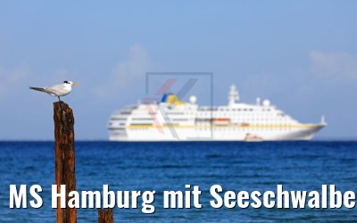 MS Hamburg mit Seeschwalbe, Maria la Gorda, Kuba 01.12.2017 MS Hamburg mit Seeschwalbe, Maria la Gorda, Kuba 01.12.2017