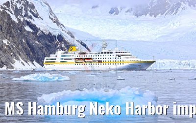 MS Hamburg Neko Harbor impressions Antarctica 08.01.2017 MS Hamburg Neko Harbor impressions Antarctica 08.01.2017