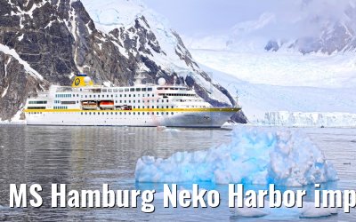 MS Hamburg Neko Harbor impressions Antarctica 08.01.2017 MS Hamburg Neko Harbor impressions Antarctica 08.01.2017