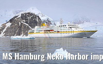 MS Hamburg Neko Harbor impressions Antarctica 08.01.2017 MS Hamburg Neko Harbor impressions Antarctica 08.01.2017