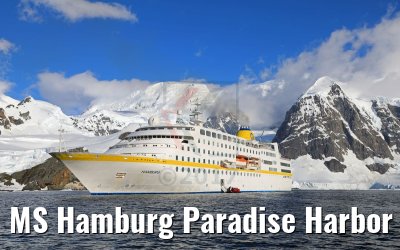 MS Hamburg Paradise Harbor near Almirante Brown Base, Antarktis 08.01.2017 MS Hamburg Paradise Harbor near Almirante Brown Base, Antarktis 08.01.2017