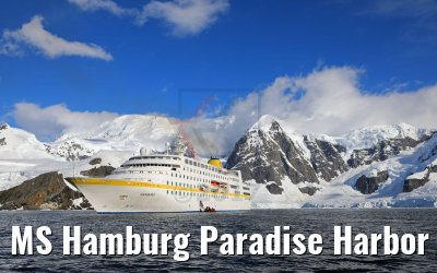 MS Hamburg Paradise Harbor near Almirante Brown Base, Antarktis 08.01.2017 MS Hamburg Paradise Harbor near Almirante Brown Base, Antarktis 08.01.2017