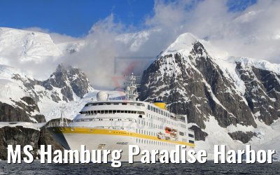 MS Hamburg Paradise Harbor near Almirante Brown Base, Antarktis 08.01.2017 MS Hamburg Paradise Harbor near Almirante Brown Base, Antarktis 08.01.2017