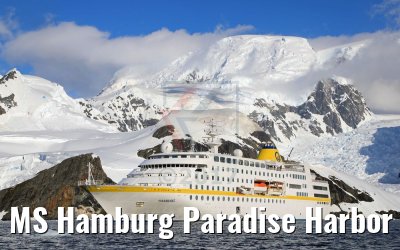 MS Hamburg Paradise Harbor near Almirante Brown Base, Antarktis 08.01.2017 MS Hamburg Paradise Harbor near Almirante Brown Base, Antarktis 08.01.2017