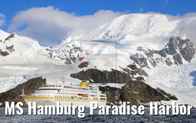 MS Hamburg Paradise Harbor near Almirante Brown Base, Antarktis 08.01.2017 MS Hamburg Paradise Harbor near Almirante Brown Base, Antarktis 08.01.2017