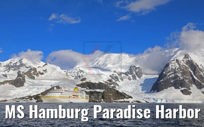 MS Hamburg Paradise Harbor near Almirante Brown Base, Antarktis 08.01.2017 MS Hamburg Paradise Harbor near Almirante Brown Base, Antarktis 08.01.2017