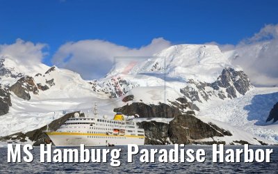 MS Hamburg Paradise Harbor near Almirante Brown Base, Antarktis 08.01.2017 MS Hamburg Paradise Harbor near Almirante Brown Base, Antarktis 08.01.2017