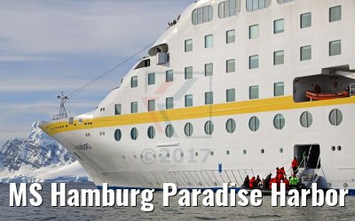 MS Hamburg Paradise Harbor near Almirante Brown Base, Antarktis 08.01.2017 MS Hamburg Paradise Harbor near Almirante Brown Base, Antarktis 08.01.2017