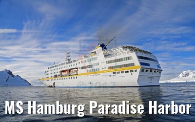 MS Hamburg Paradise Harbor near Almirante Brown Base, Antarktis 08.01.2017 MS Hamburg Paradise Harbor near Almirante Brown Base, Antarktis 08.01.2017