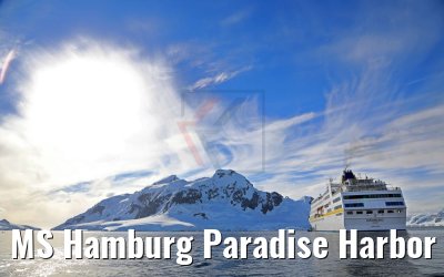 MS Hamburg Paradise Harbor near Almirante Brown Base, Antarktis 08.01.2017 MS Hamburg Paradise Harbor near Almirante Brown Base, Antarktis 08.01.2017