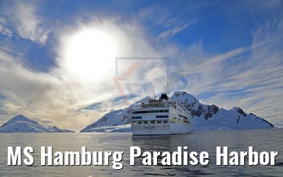 MS Hamburg Paradise Harbor near Almirante Brown Base, Antarktis 08.01.2017 MS Hamburg Paradise Harbor near Almirante Brown Base, Antarktis 08.01.2017