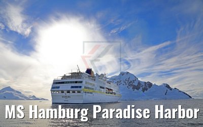 MS Hamburg Paradise Harbor near Almirante Brown Base, Antarktis 08.01.2017 MS Hamburg Paradise Harbor near Almirante Brown Base, Antarktis 08.01.2017