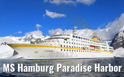 MS Hamburg Paradise Harbor near Almirante Brown Base, Antarktis 08.01.2017 MS Hamburg Paradise Harbor near Almirante Brown Base, Antarktis 08.01.2017