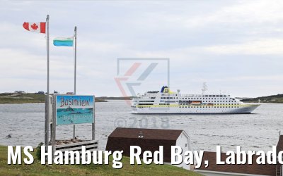 MS Hamburg Red Bay, Labrador, Kanada MS Hamburg Red Bay, Labrador, Kanada