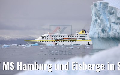 MS Hamburg und Eisberge in Sarqaq, Grönland MS Hamburg und Eisberge in Sarqaq, Grönland