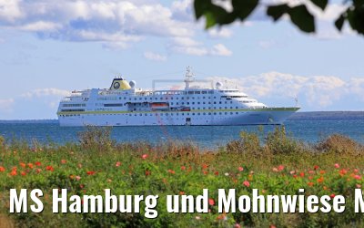 MS Hamburg und Mohnwiese Mackinac Island 07.10.2019 MS Hamburg und Mohnwiese Mackinac Island 07.10.2019