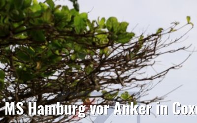 MS Hamburg vor Anker in Coxen Hole, Roatan, Honduras 21.02.2019 MS Hamburg vor Anker in Coxen Hole, Roatan, Honduras 21.02.2019