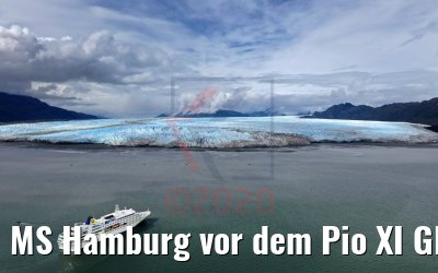MS Hamburg vor dem Pio XI Glacier, Patagonien, Chile 04.02.2020 MS Hamburg vor dem Pio XI Glacier, Patagonien, Chile 04.02.2020