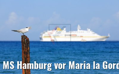 MS Hamburg vor Maria la Gorda, Kuba 01.12.2017 MS Hamburg vor Maria la Gorda, Kuba 01.12.2017