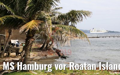 MS Hamburg vor Roatan Island, Honduras 21.02.2019 MS Hamburg vor Roatan Island, Honduras 21.02.2019