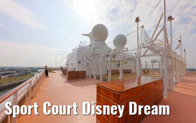 Sport Court Disney Dream Sport Court Disney Dream