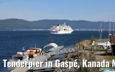 Tenderpier in Gaspé, Kanada MS Hamburg Tenderpier in Gaspé, Kanada MS Hamburg