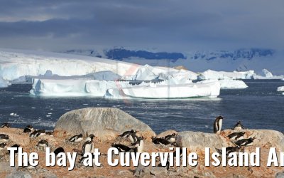 The bay at Cuverville Island Antarctica 09.01.2017 The bay at Cuverville Island Antarctica 09.01.2017