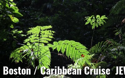 Boston / Caribbean Cruise  JEWEL OF THE SEAS - Florida - October / November 2010 Boston / Caribbean Cruise  JEWEL OF THE SEAS - Florida - October / November 2010