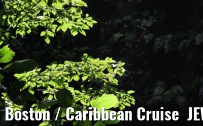 Boston / Caribbean Cruise  JEWEL OF THE SEAS - Florida - October / November 2010 Boston / Caribbean Cruise  JEWEL OF THE SEAS - Florida - October / November 2010