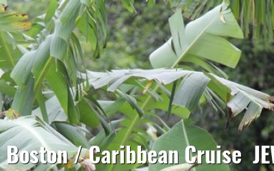 Boston / Caribbean Cruise  JEWEL OF THE SEAS - Florida - October / November 2010 Boston / Caribbean Cruise  JEWEL OF THE SEAS - Florida - October / November 2010