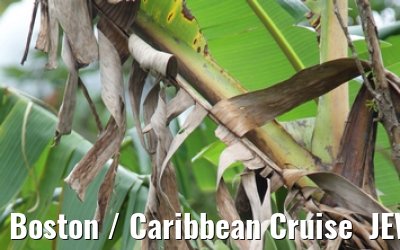 Boston / Caribbean Cruise  JEWEL OF THE SEAS - Florida - October / November 2010 Boston / Caribbean Cruise  JEWEL OF THE SEAS - Florida - October / November 2010