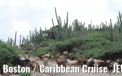 Boston / Caribbean Cruise  JEWEL OF THE SEAS - Florida - October / November 2010 Boston / Caribbean Cruise  JEWEL OF THE SEAS - Florida - October / November 2010