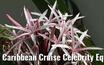 Caribbean Cruise Celebrity Equinox 2010 Caribbean Cruise Celebrity Equinox 2010