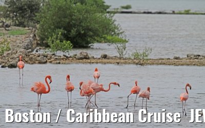 Boston / Caribbean Cruise  JEWEL OF THE SEAS - Florida - October / November 2010 Boston / Caribbean Cruise  JEWEL OF THE SEAS - Florida - October / November 2010