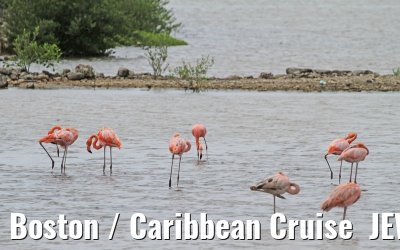 Boston / Caribbean Cruise  JEWEL OF THE SEAS - Florida - October / November 2010 Boston / Caribbean Cruise  JEWEL OF THE SEAS - Florida - October / November 2010