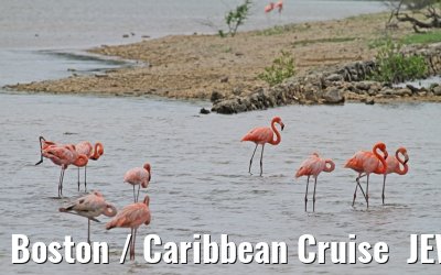 Boston / Caribbean Cruise  JEWEL OF THE SEAS - Florida - October / November 2010 Boston / Caribbean Cruise  JEWEL OF THE SEAS - Florida - October / November 2010