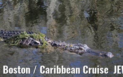 Boston / Caribbean Cruise  JEWEL OF THE SEAS - Florida - October / November 2010 Boston / Caribbean Cruise  JEWEL OF THE SEAS - Florida - October / November 2010