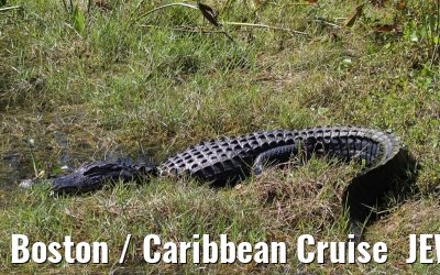 Boston / Caribbean Cruise  JEWEL OF THE SEAS - Florida - October / November 2010 Boston / Caribbean Cruise  JEWEL OF THE SEAS - Florida - October / November 2010