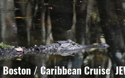 Boston / Caribbean Cruise  JEWEL OF THE SEAS - Florida - October / November 2010 Boston / Caribbean Cruise  JEWEL OF THE SEAS - Florida - October / November 2010